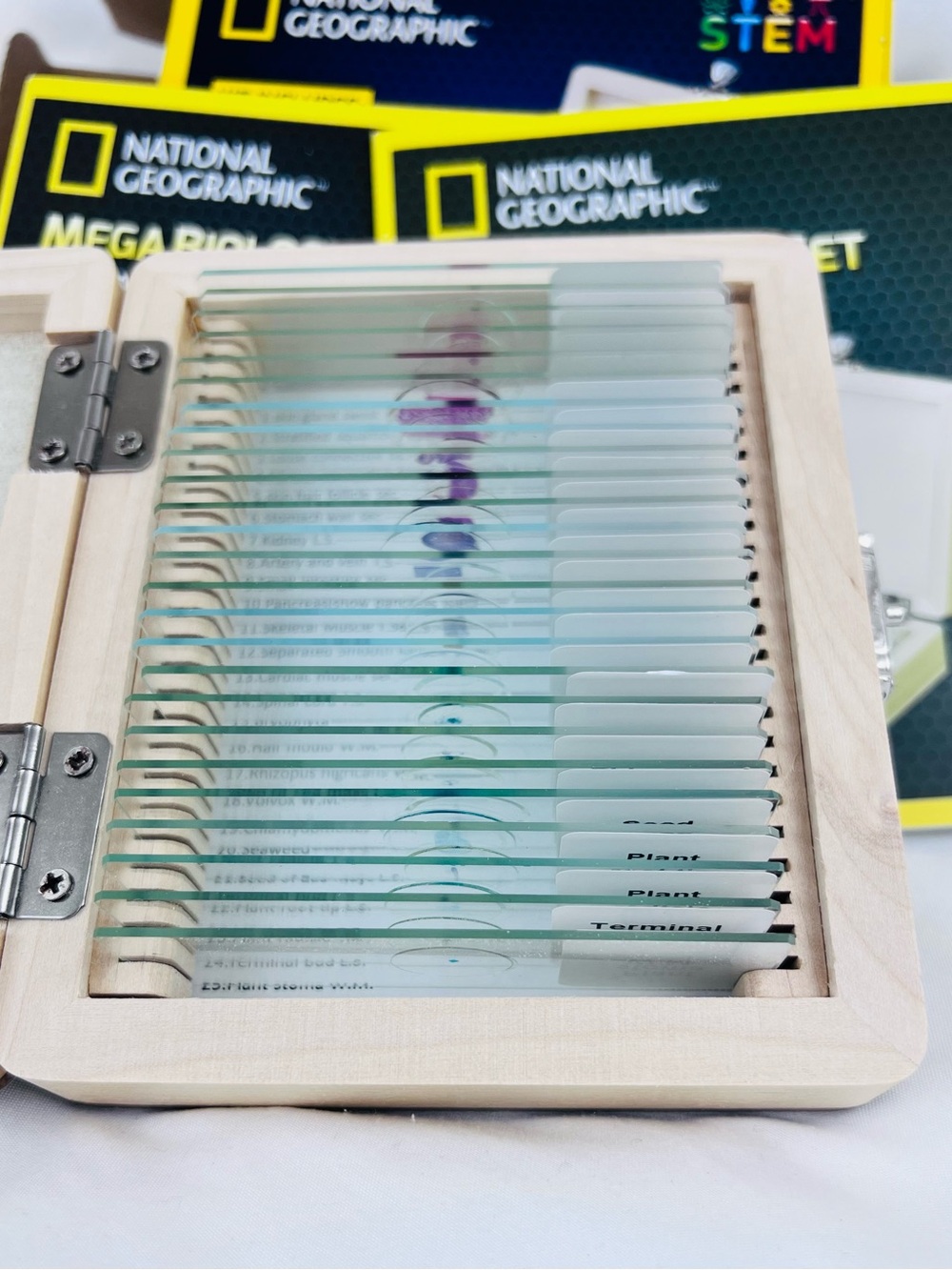 NATIONAL GEOGRAPHIC Mega Biology Set 25 Microscope Slides Learning Guide New - Picture 4 of 11